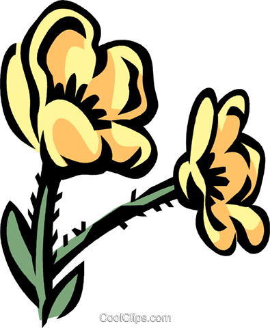 Buttercup Royalty Free Vector Clip Art Illustration - Buttercup Royalty Free Vector Clip Art Illustration (395x480)