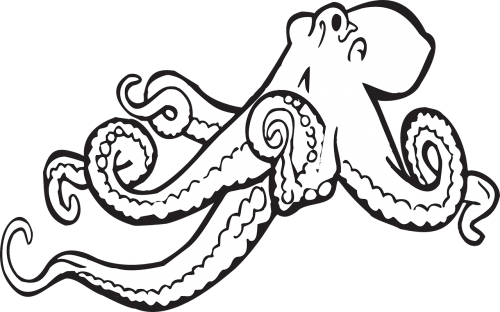 Octopus Clipart Black And White (500x312)