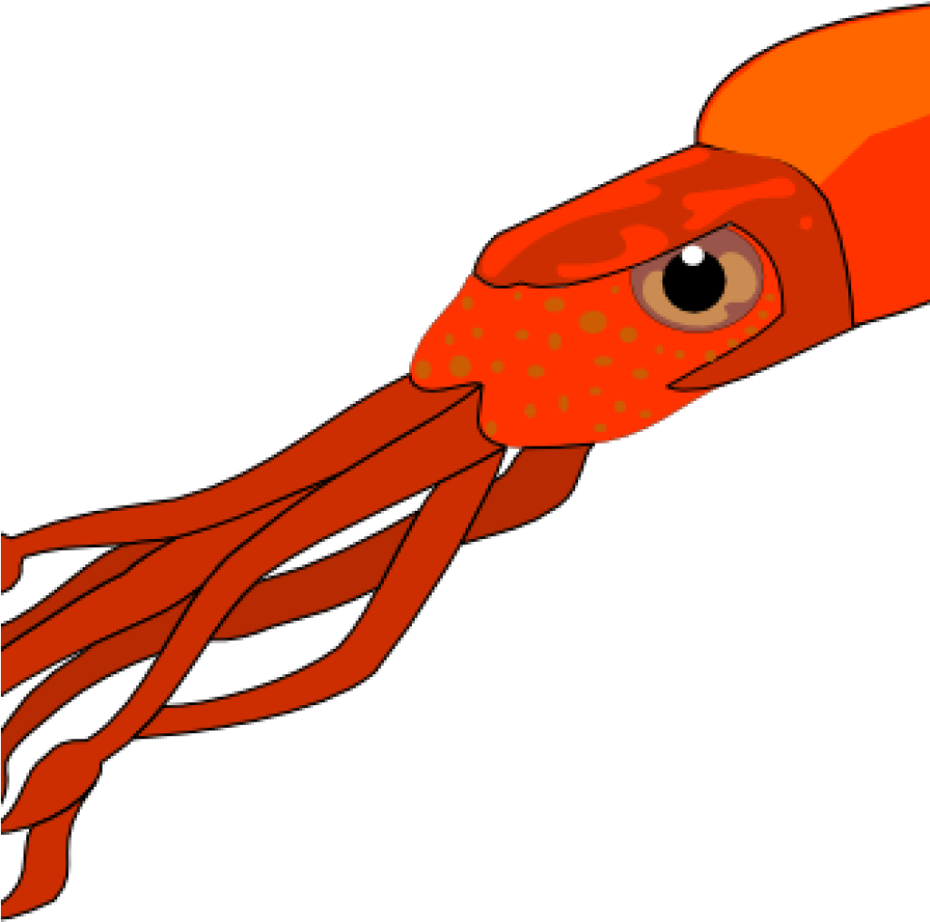 Squid Clipart Cupcake Clipart Hatenylo - Giant Squid Clip Art (1024x1024)