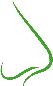 The Nose Is Marked By Citrus Aromas , As Well As Identifiable - The Nose Is Marked By Citrus Aromas , As Well As Identifiable (380x380)