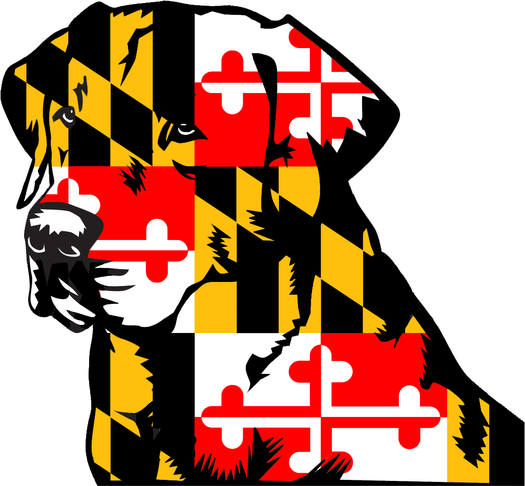 Yellow Black Red White Flag (1200x1200)