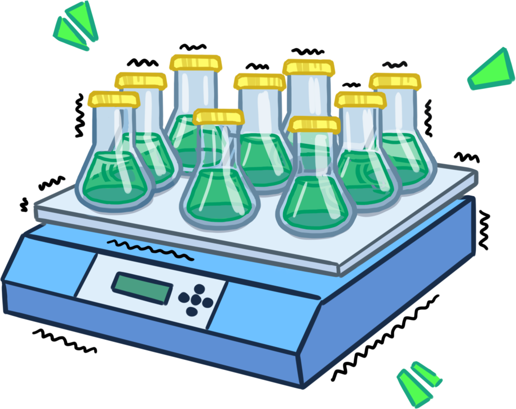 For The Vector Construction, Sqr Gene Was Cloned Into - For The Vector Construction, Sqr Gene Was Cloned Into (1019x807)