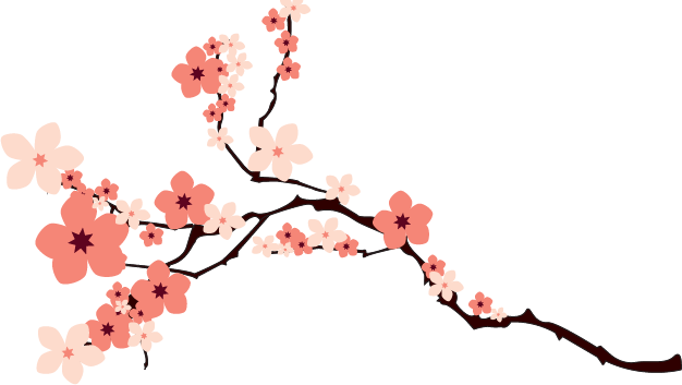 Sakura Blossom Clipart Transparent Tumblr - Cherry Blossom Vector Png (626x353)