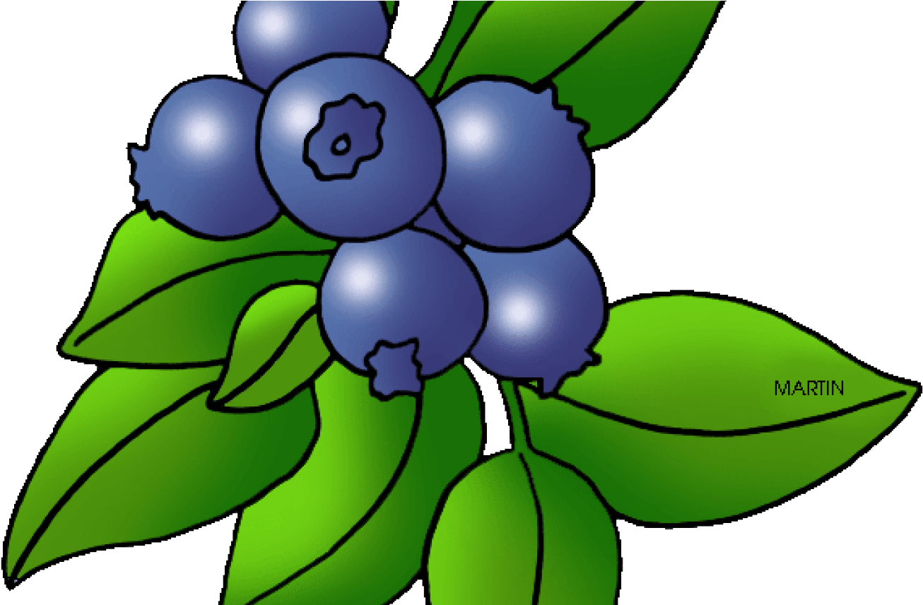 Berry Clipart Clipart Panda Free Clipart Images - Blueberry Clip Art (1368x855)