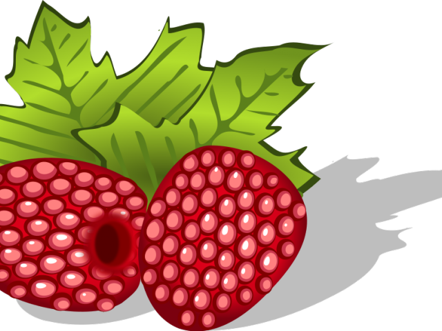 Berry Clipart Raspberry - Homme Chaussures Arena (640x480)