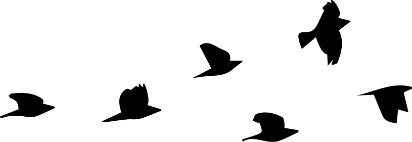 James Bond Animation - James Bond Animation (815x281)