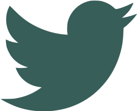 Mid Summer - Twitter Icon Grey Png (480x480)