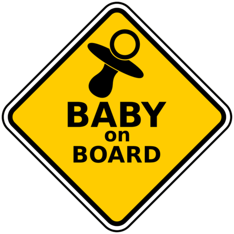 Joseph Stalin Was Born On December 21st, 1879 In Gori, - Baby On Board Clipart (480x480)