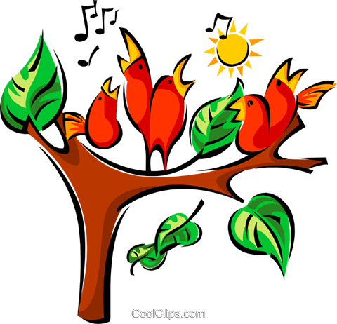 Birds Singing - Details - Birds Singing In The Trees (480x462)