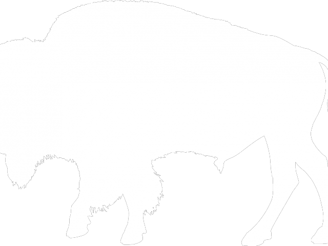 Bison Clipart Black And White - White Bison Silhouette (640x480)