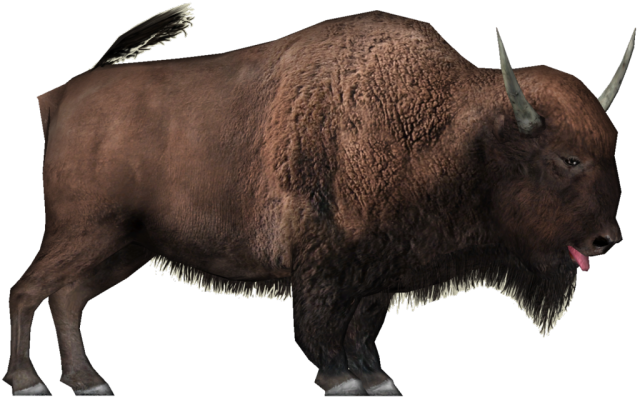 Png Source - Bison (640x480)
