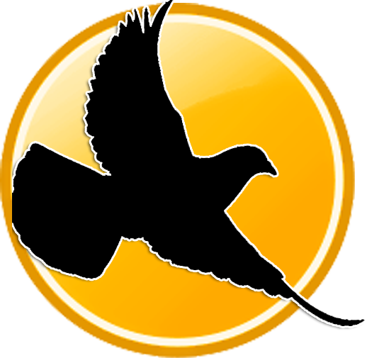 Winning Tips For Racing Pigeons (518x505)