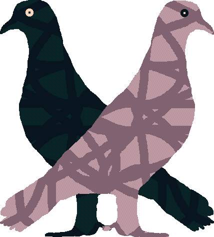 Work So That I Can Get Those Beautiful Pigeons You - Pigeons And Doves (428x473)