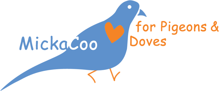 Mickacoo Logo Transparent - Birdlife International (732x305)