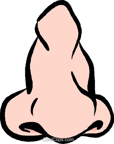 Png Human Nose Transparent Human Nosepng Images Pluspng - Nariz Grande Png (382x480)