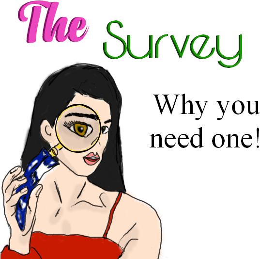 Surveyor He Hardly Knew Her - Cartoon (600x600)