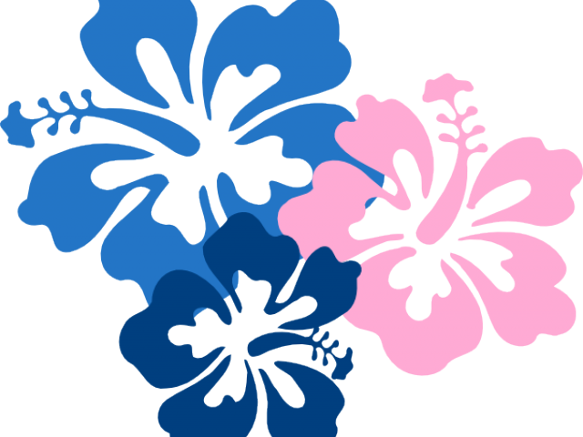Original - Flowers Of Hawaii Png (640x480)