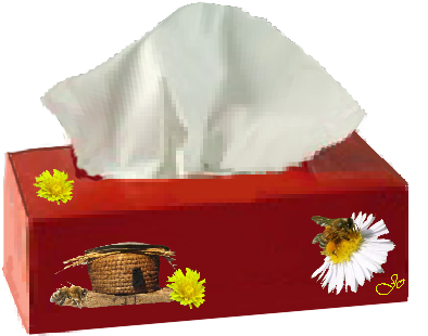 Mes Creas Boites A Mouchoirs - Gerbera (400x400)