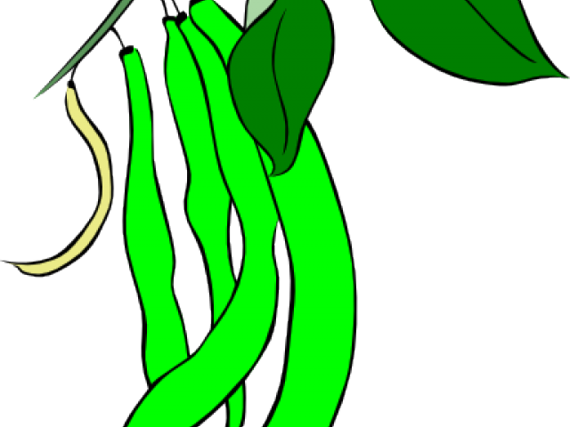 Bean Clipart Gren - Bean Clipart Gren (640x480)