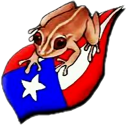 Puertorico Sticker - Coqui Puerto Rico Flag (412x406)