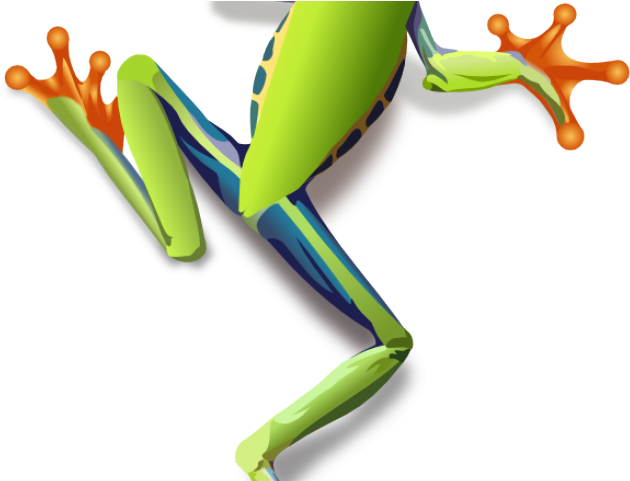 Red Eyed Tree Frog Clipart Small Frog - Tree Frog Drawings (640x480)