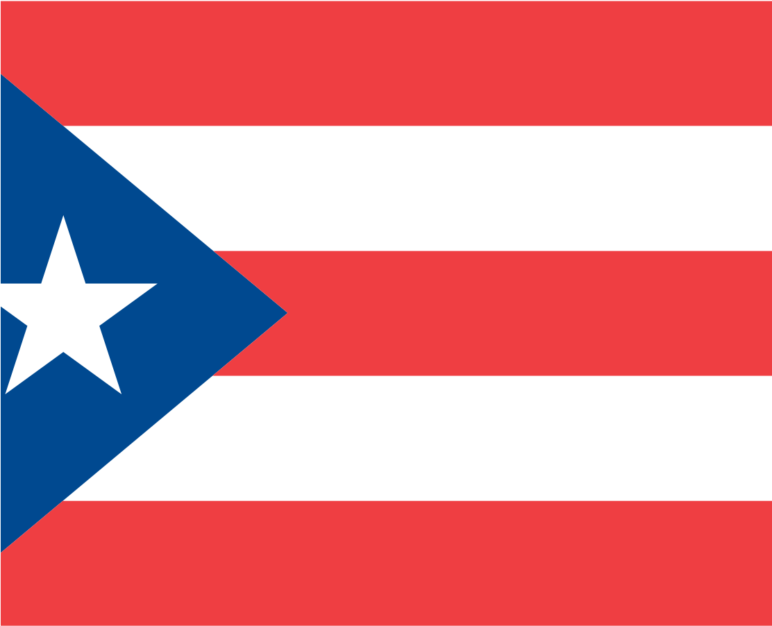 Puerto Rican Flag - Flag (1111x1438)