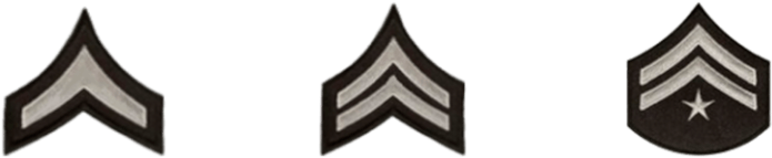 Po Ii / Iii / Iii - Senior Officer (1024x387)