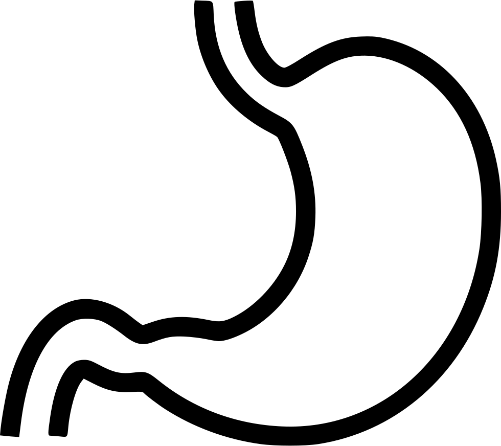 Stomach Svg Png Icon Free Download - Stomach Black And White (980x872)