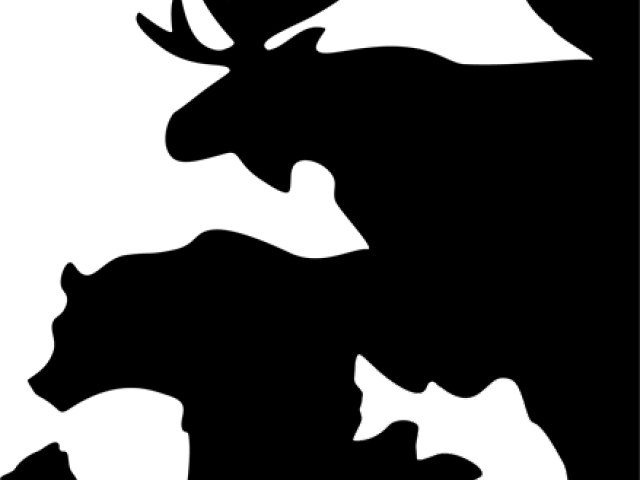 Elk Clipart Alaska Wildlife - Elk (640x480)