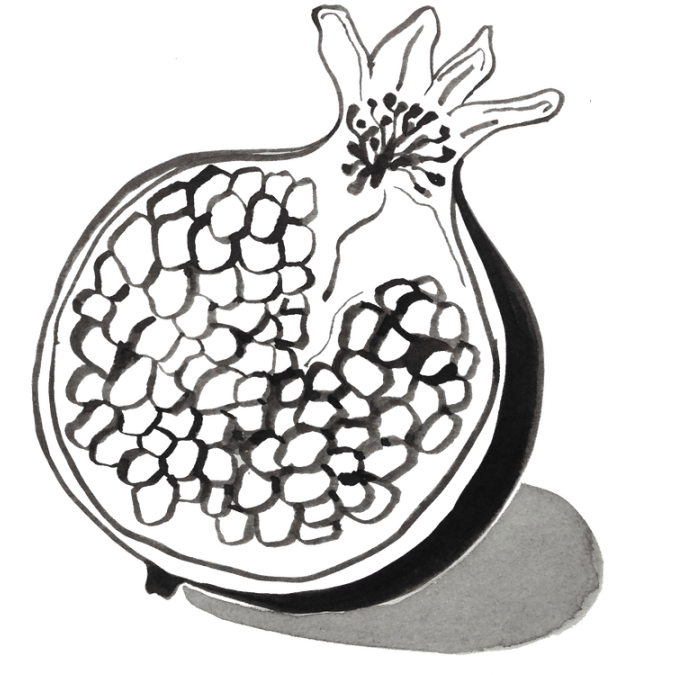 Fresh Pomegranates Are Sourced From Our Farms - Pomegranate In Black And White (720x720)