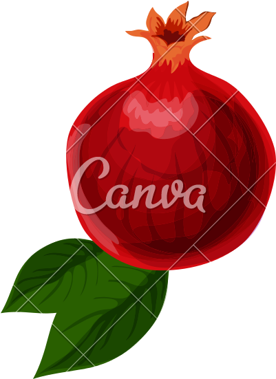 Pomegranate Icon - Canva (800x800)