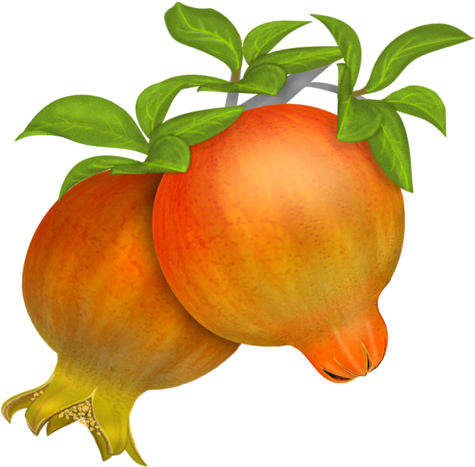 Pomegranates - Pomegranate In Vector (700x677)