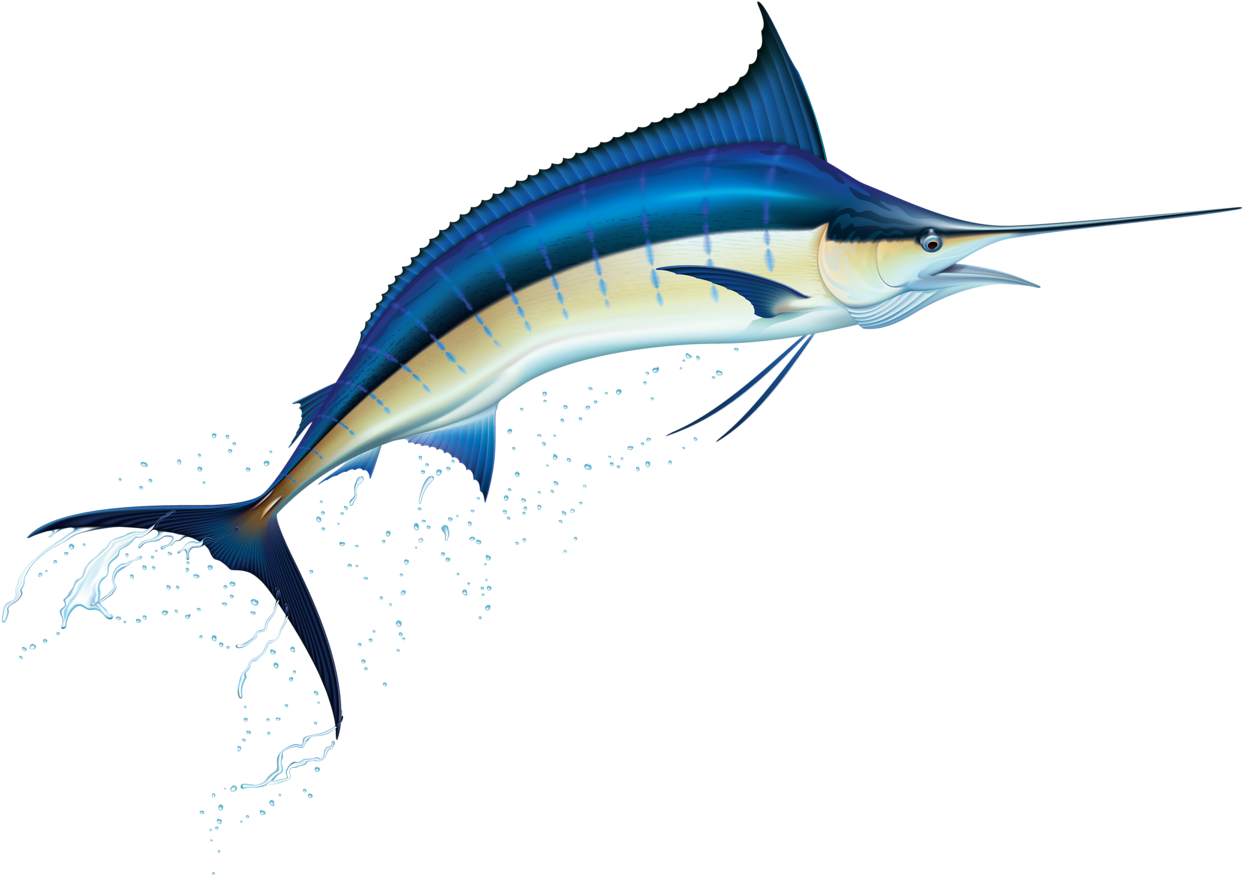 Фотки Blue Marlin, Clip Art, Illustrations - Marlin Illustration (1280x890)