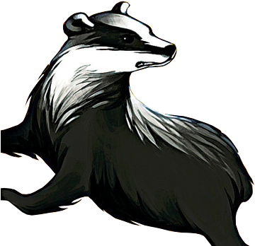 Badger Png - Procyon (361x369)
