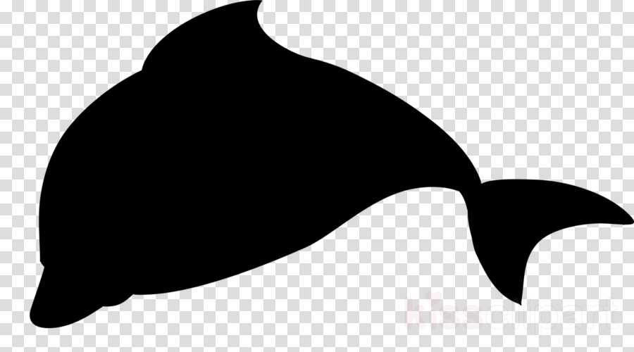 Dolphin Silhouettes Clipart Silhouette Clip Art - Grunge Circle Png Transparent (900x500)