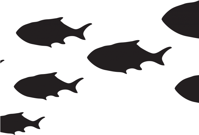 Deus Ex Clipart Fish - Deus Ex Clipart Fish (640x480)