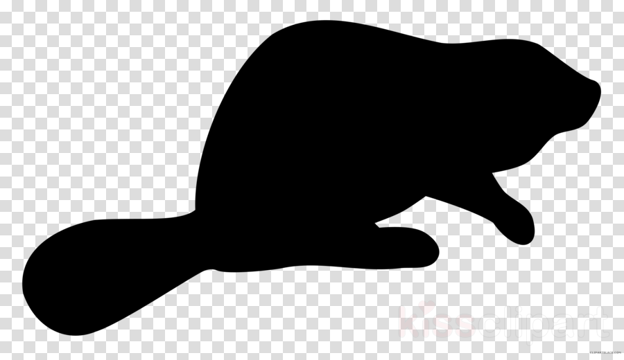 Clip Art Clipart Beaver Silhouette - Live Dj Png (900x520)