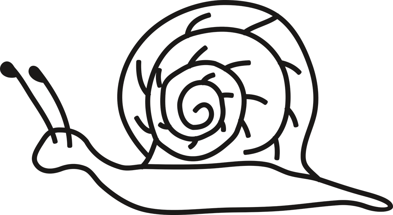 Snail Crawl Seashell - Animals That Crawl Clipart Black And White (1280x700)