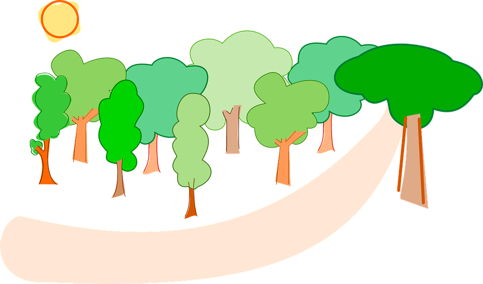 Trees Forest Nature Landscape Environment - Forest Clipart (960x564)