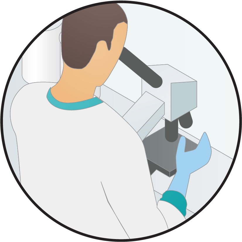 Hidden - Lab Staff Icon (833x833)