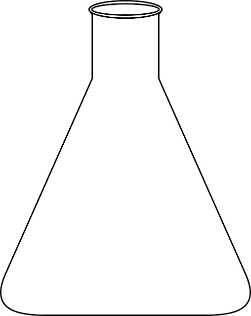 Chemistry, Empty, Flask, Glasswares, Lab, Laboratory - Erlenmeyerkolben Schema (508x640)