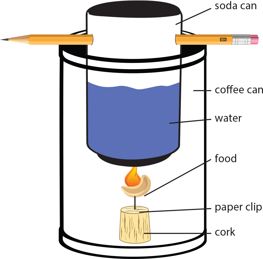 Construction Of The Of The Bomb Calorimeter - Agriculture In The Classroom (1114x1084)