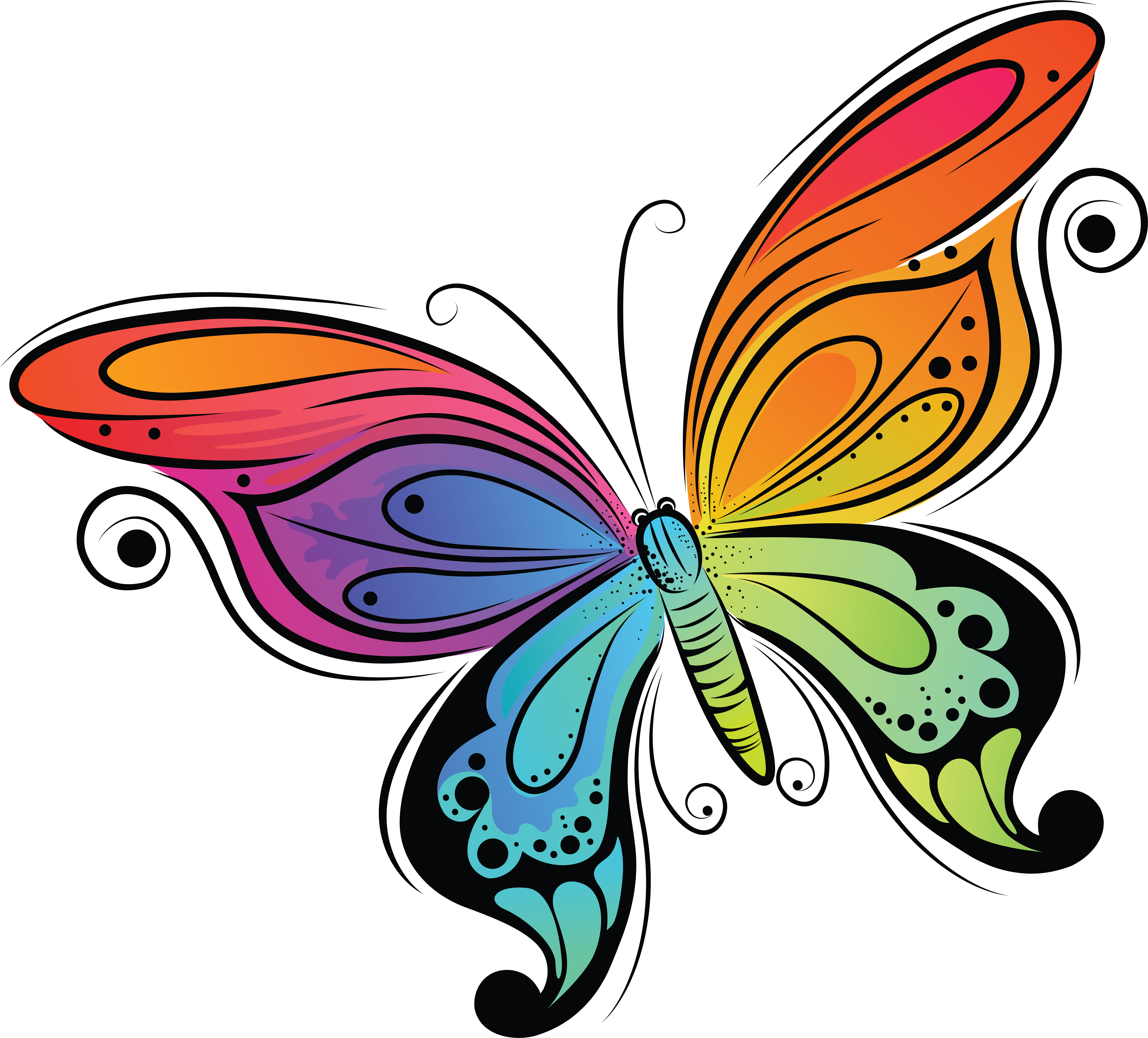 Colorful Butterflies Drawings (6845x6196)