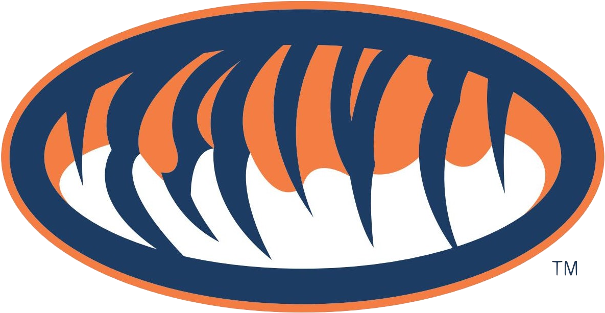 Auburn Cliparts - Auburn Tiger Eyes Logo (1216x641)