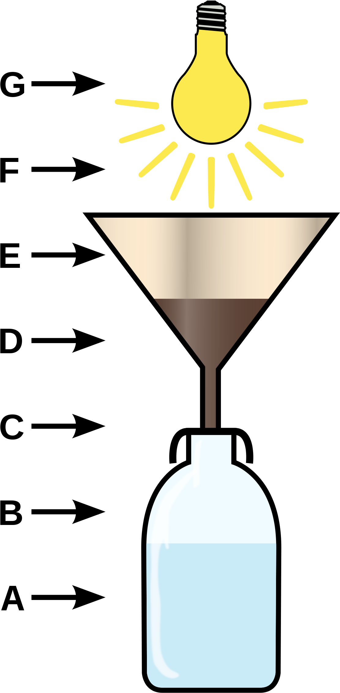 Berlese Funnel (1200x2333)