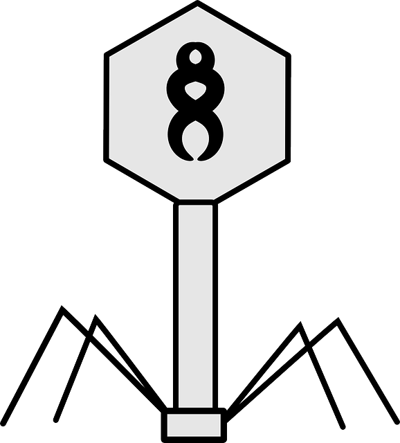 Virus, Bacteriophage, Science, Biology, Structure - Virus Black And White (578x640)