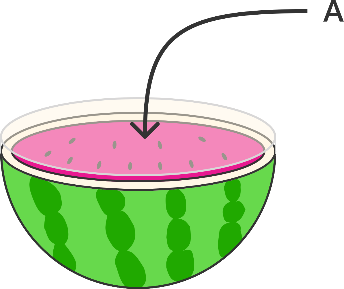 Surface Area Of A Sphere - Surface Area Clipart (1199x1008)
