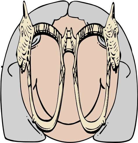 Old Woman Mask Clip Art - Clip Art (474x595)