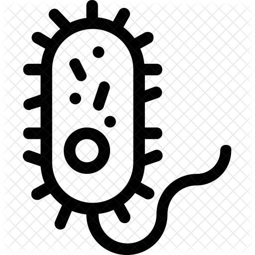 Bacteria Icon - Bacteria Icon (512x512)