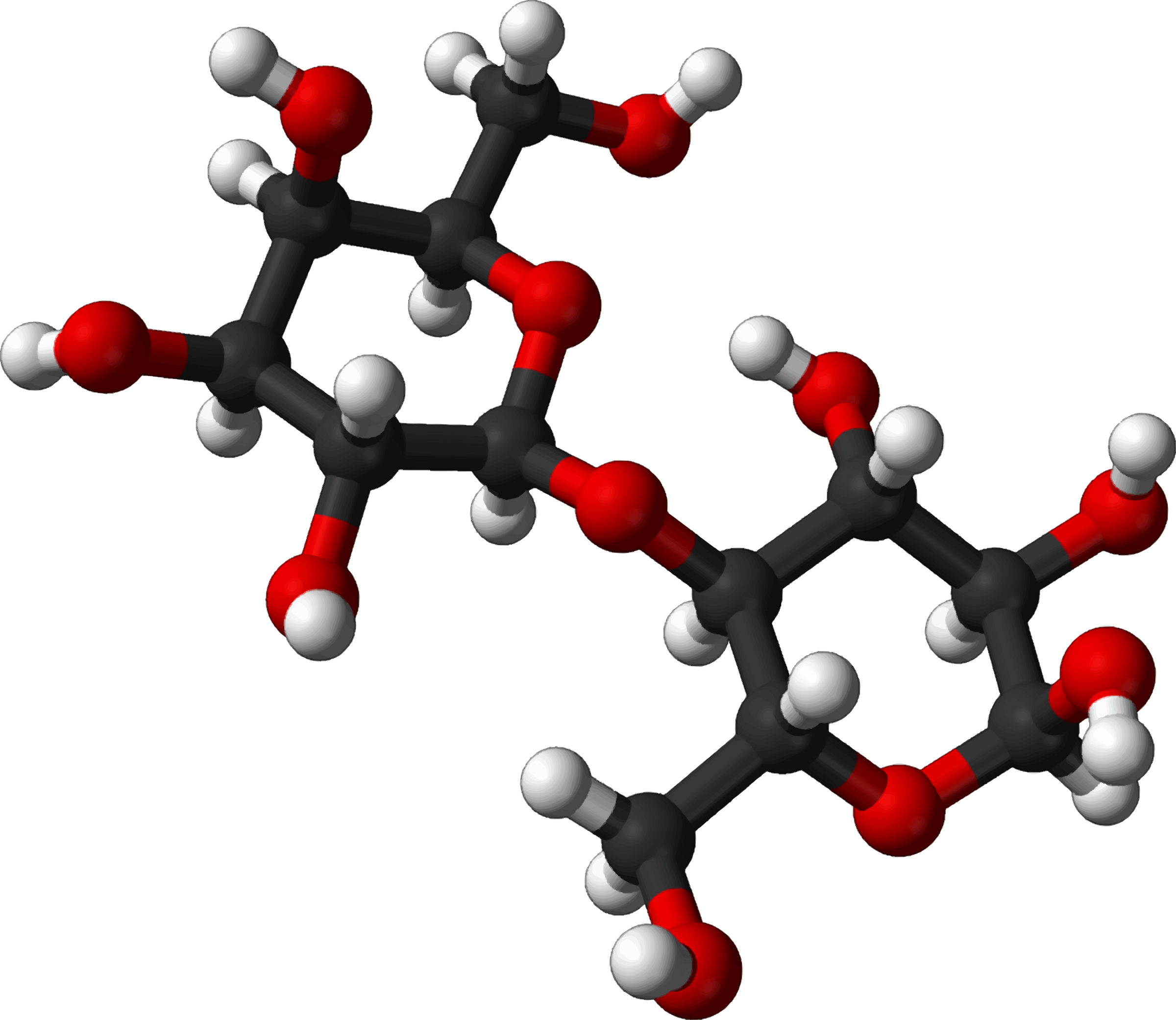 Infamous) Molecules - Lactose Molecule (2400x2081)